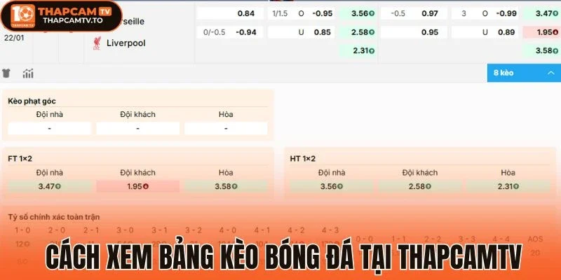 Hướng dẫn bạn mới cách xem bảng kèo