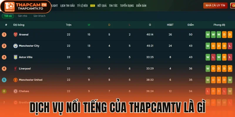 Dịch vụ nổi tiếng của Thapcamtv là gì