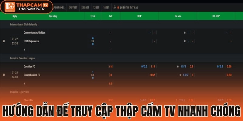 Hướng dẫn để truy cập thập cẩm tv nhanh chóng