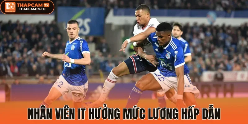Nhân viên IT hưởng mức lương hấp dẫn