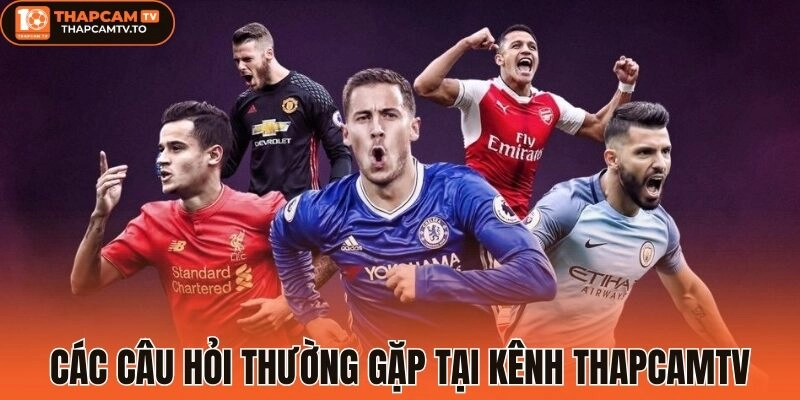 Tổng hợp các câu hỏi thường gặp tại kênh thapcamtv