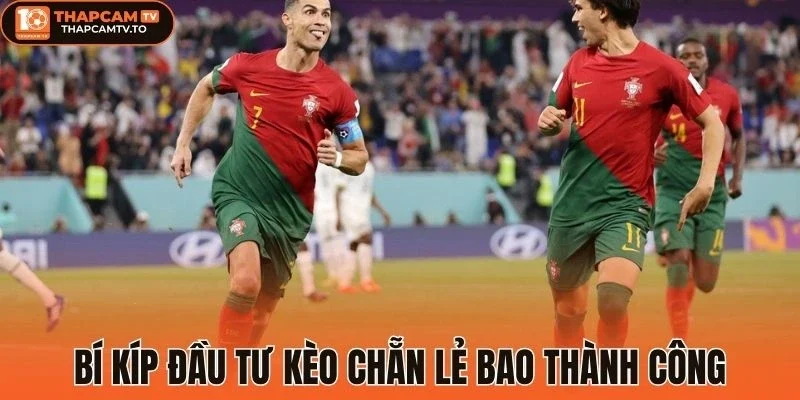 Bí kíp đầu tư kèo chẵn lẻ bao thành công