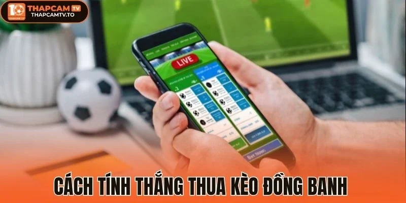 Cách tính thắng thua kèo đồng banh 