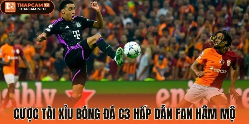 Cược tài xỉu bóng đá C3 hấp dẫn fan hâm mộ