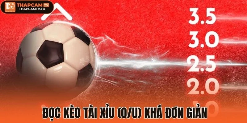 Đơn giản khi đọc kèo tài xỉu