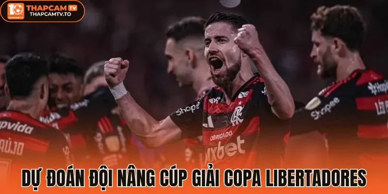 Dự đoán đội nâng cúp giải Copa Libertadores