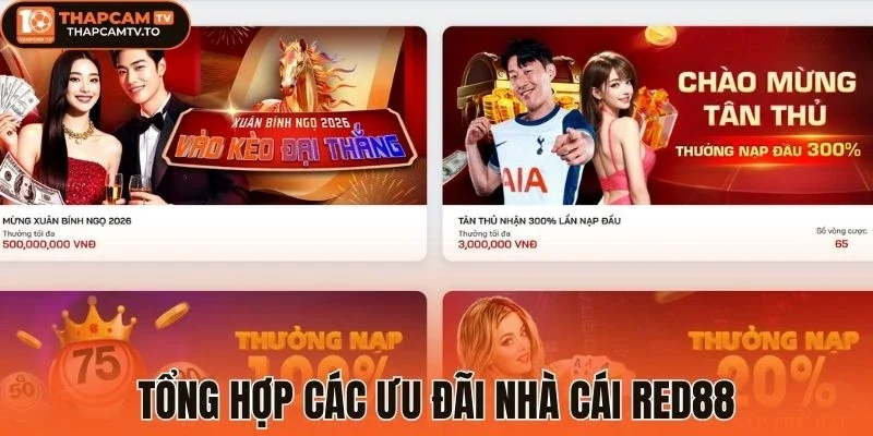 Tích cực tham gia các ưu đãi nhà cái
