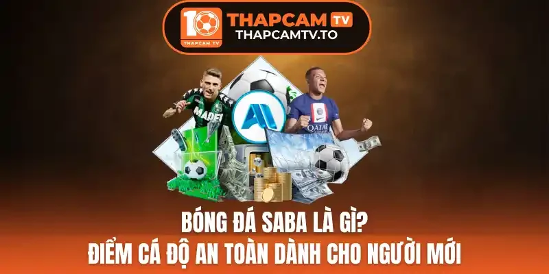 Bóng Đá Saba Là Gì? Điểm Cá Độ An Toàn Dành Cho Người Mới
