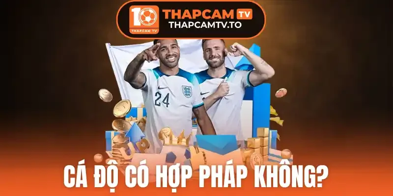 Độ tuổi được tham gia hình thức giải trí cá độ bóng đá