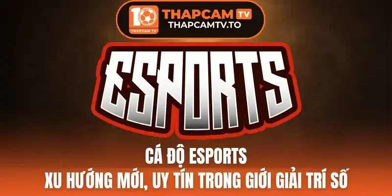 Quản lý vốn và kỷ luật đặt cược