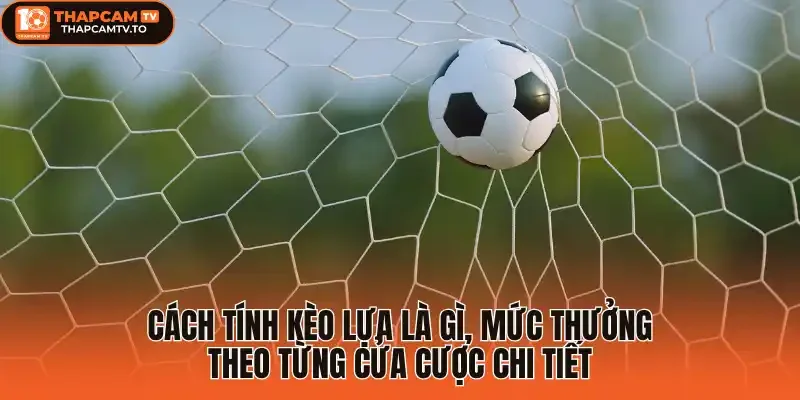 Cách tính kèo lựa là gì, mức thưởng theo từng cửa cược chi tiết