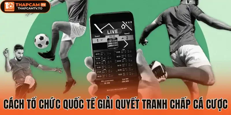 Cách tổ chức quốc tế giải quyết tranh chấp cá cược