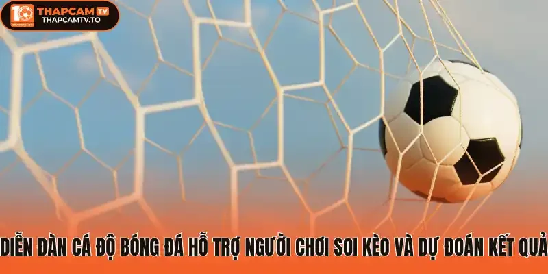 Diễn đàn cá độ bóng đá hỗ trợ người chơi soi kèo và dự đoán kết quả