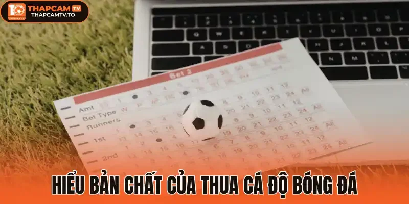 Hiểu bản chất của thua cá độ bóng đá