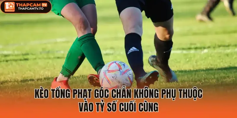 Kèo tổng phạt góc chẵn không phụ thuộc vào tỷ số cuối cùng