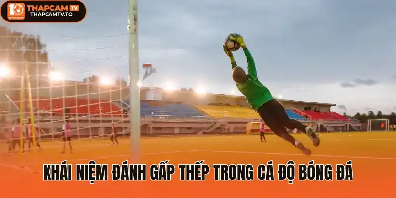 Khái niệm đánh gấp thếp trong cá độ bóng đá