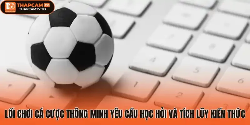 Lối chơi cá cược thông minh yêu cầu học hỏi và tích lũy kiến thức