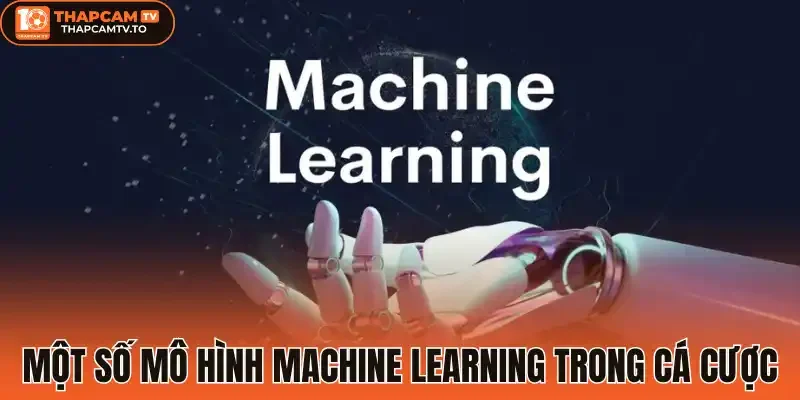 Một số mô hình Machine learning trong cá cược