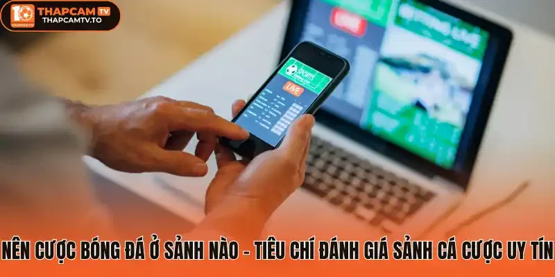 Nên cược bóng đá ở sảnh nào - Tiêu chí đánh giá sảnh cá cược uy tín