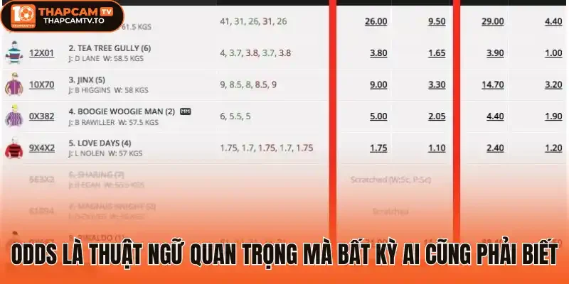 Odds là thuật ngữ quan trọng mà bất kỳ ai cũng phải biết