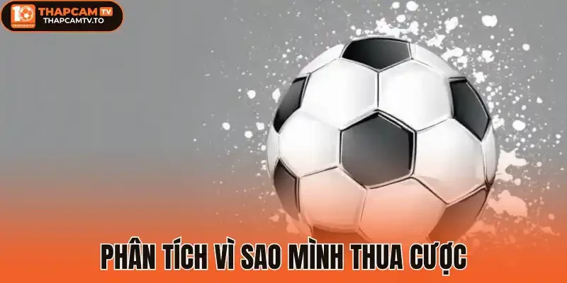 Phân tích vì sao mình thua cược