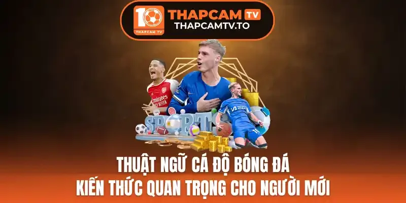 Thuật Ngữ Cá Độ Bóng Đá - Kiến Thức Quan Trọng Cho Người Mới