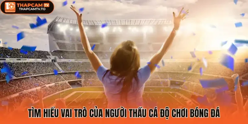Tìm hiểu vai trò của người thầu cá độ chơi bóng đá