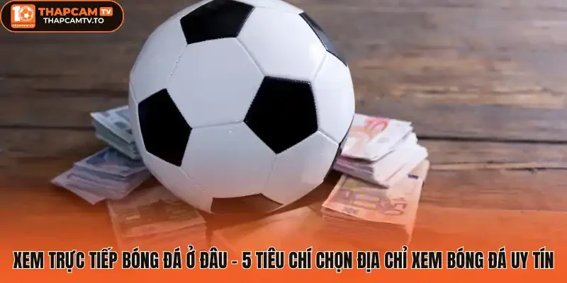 Xem trực tiếp bóng đá ở đâu - 5 Tiêu chí chọn địa chỉ xem bóng đá uy tín